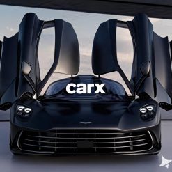 CarX Seat Gap Organizer Storage Box Console